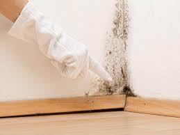  Caddo, OK Mold Removal Services Pros